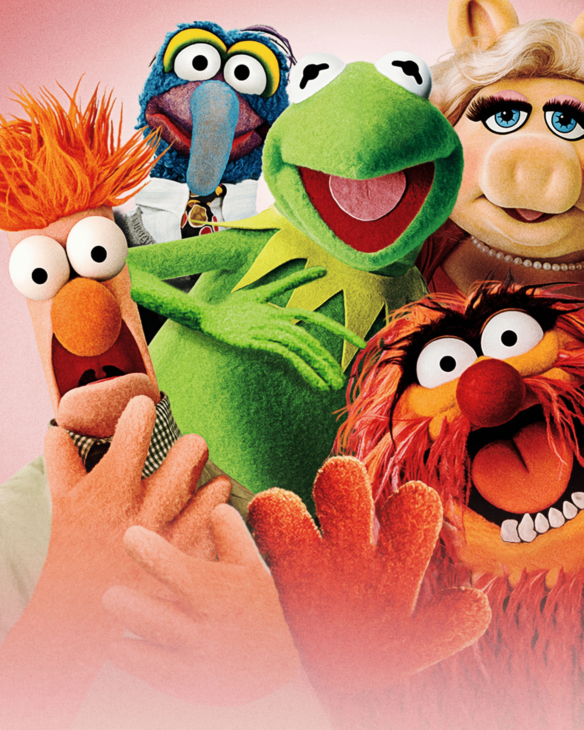 The Muppets