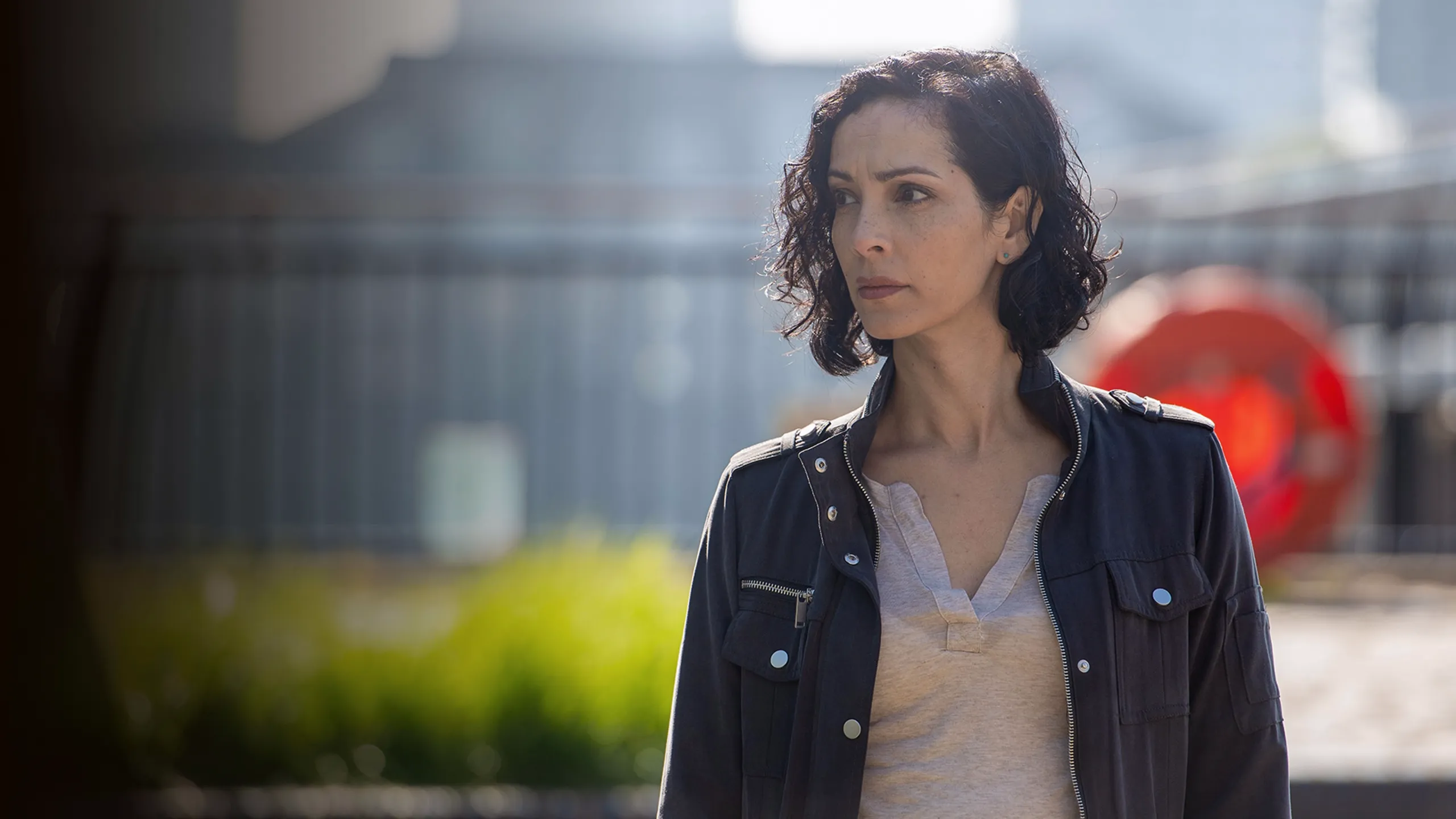 The Chelsea Detective