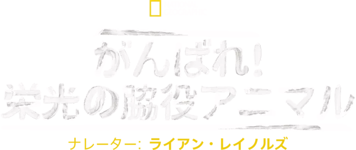 がんばれ！栄光の脇役アニマル