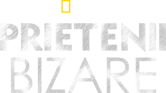 Prietenii bizare