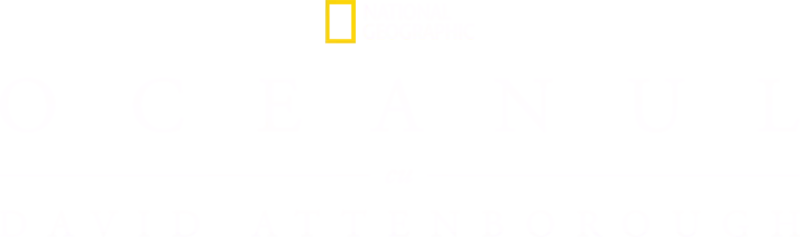 Oceanul cu David Attenborough