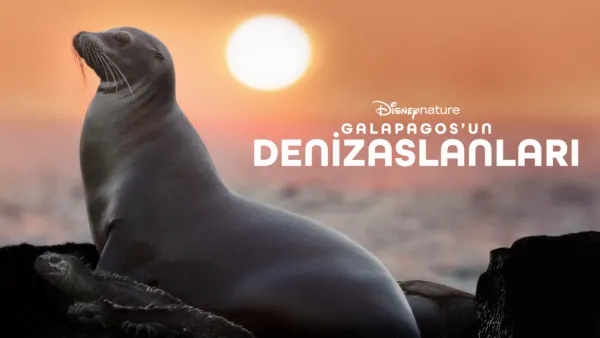 thumbnail - Galapagos'un Denizaslanları
