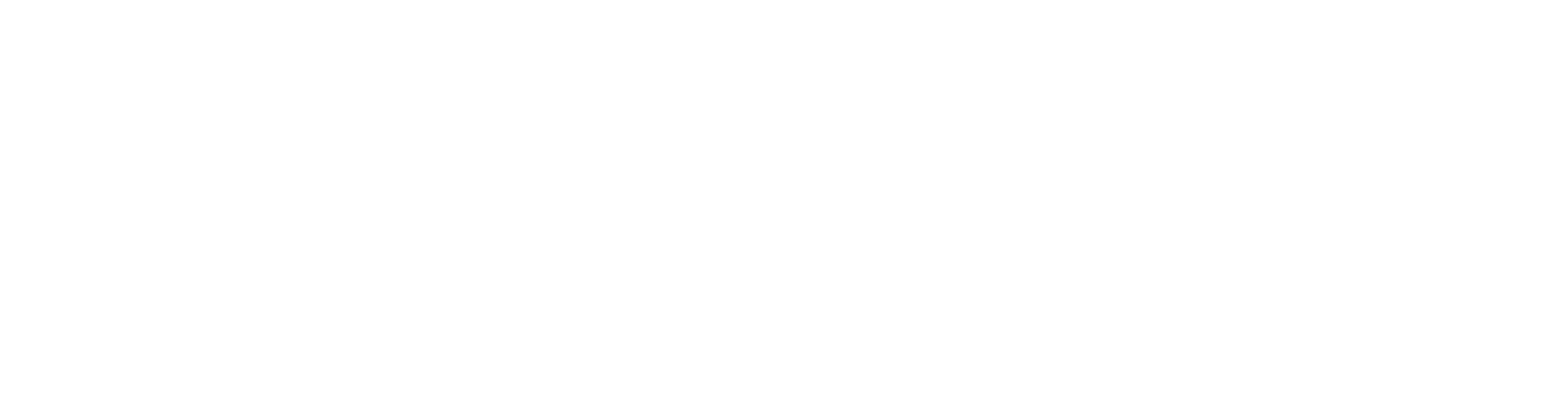 合法伴侣