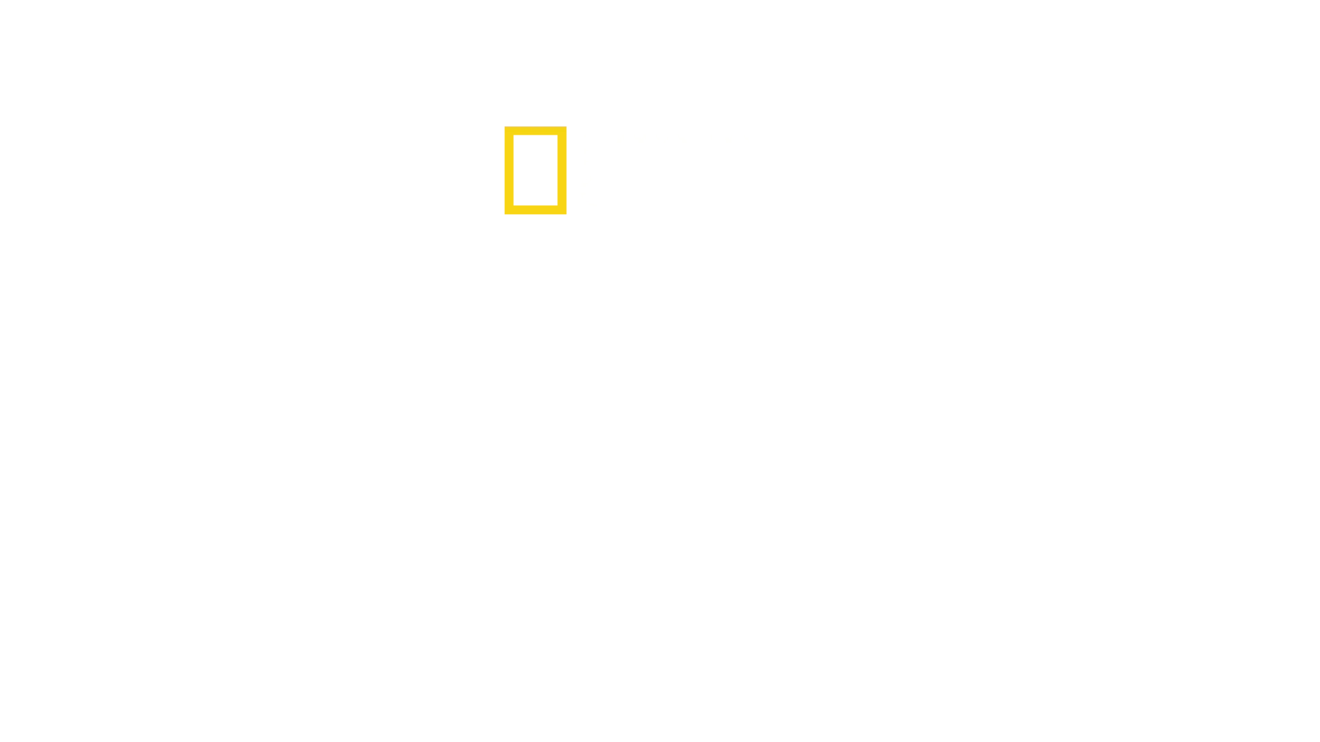 Hitler, el adicto