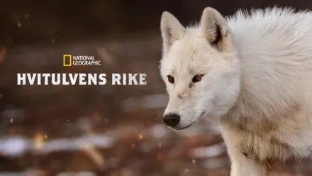thumbnail - Hvitulvens rike