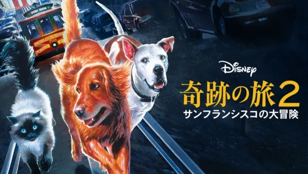 thumbnail - 奇跡の旅2 サンフランシスコの大冒険