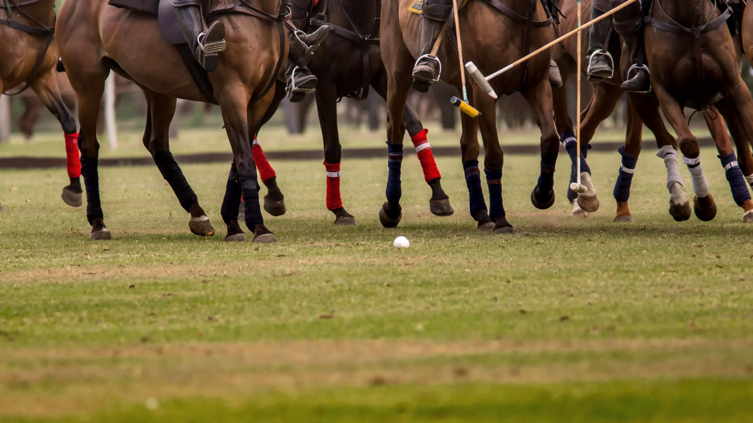 El Overo vs. La Dolfina | Abierto Argentino Femenino de Polo (Final)