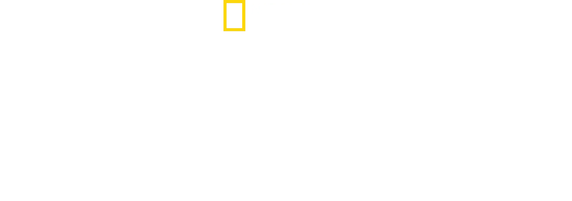 Hemligheterna på zoo