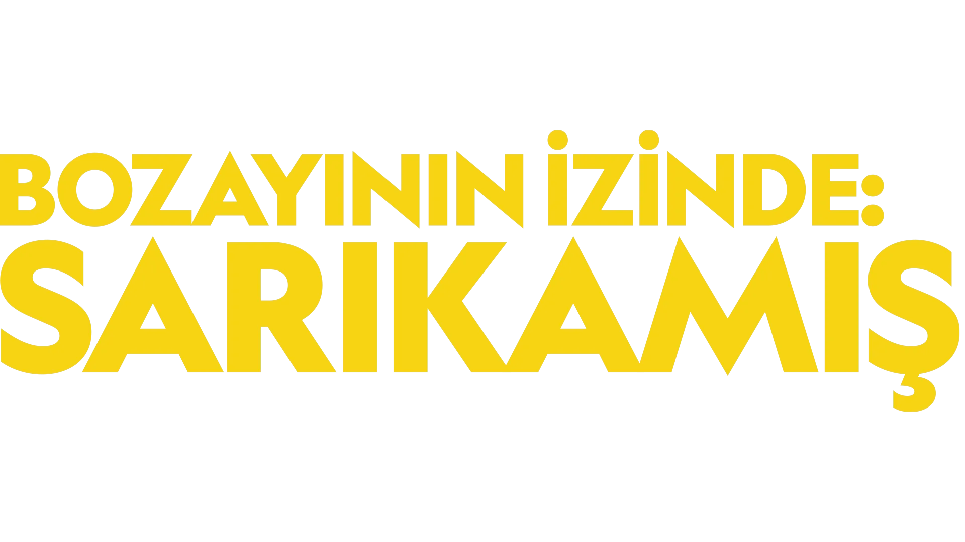 Bozayının İzinde: Sarıkamış
