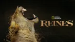 thumbnail - Reines