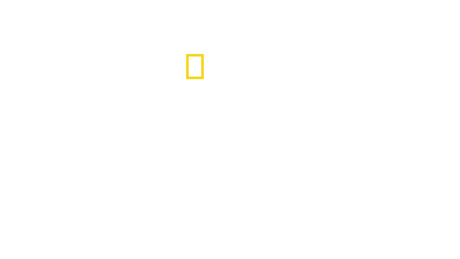 The Last Ice