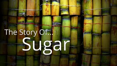 Story of... Sugar