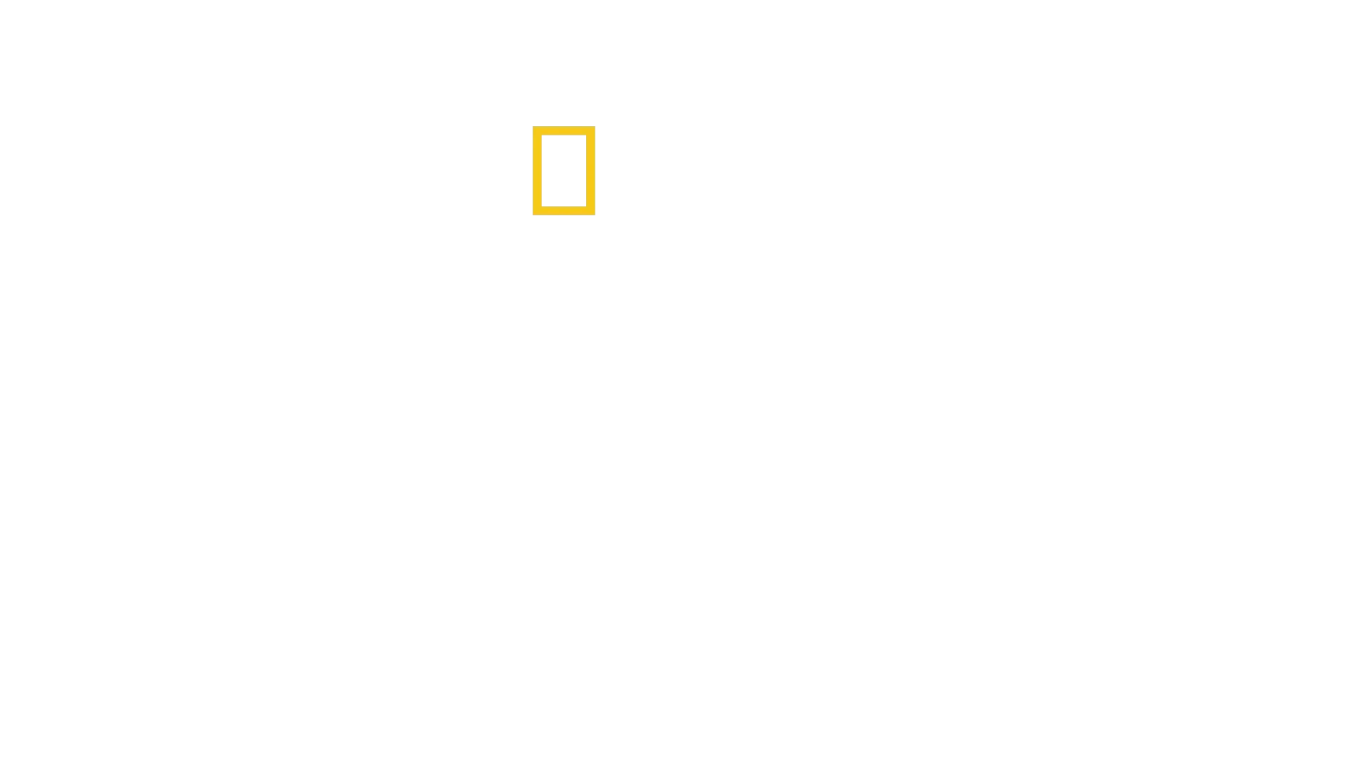 O Território