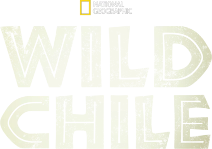Wild Chile