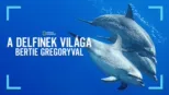 thumbnail - A delfinek világa Bertie Gregoryval