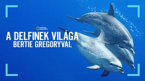 thumbnail - A delfinek világa Bertie Gregoryval