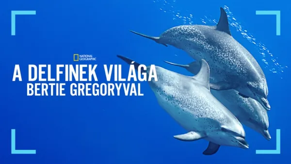 thumbnail - A delfinek világa Bertie Gregoryval