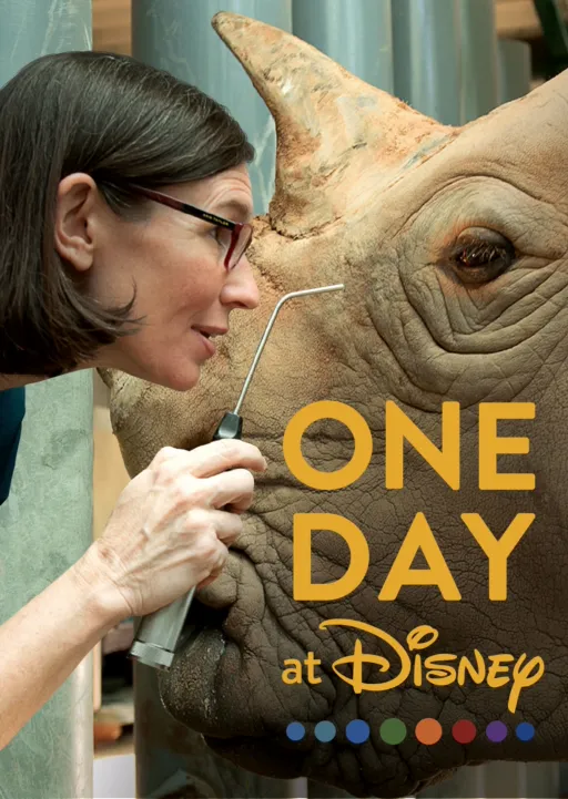 One Day at Disney
