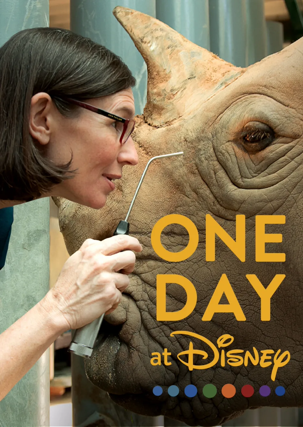 One Day at Disney
