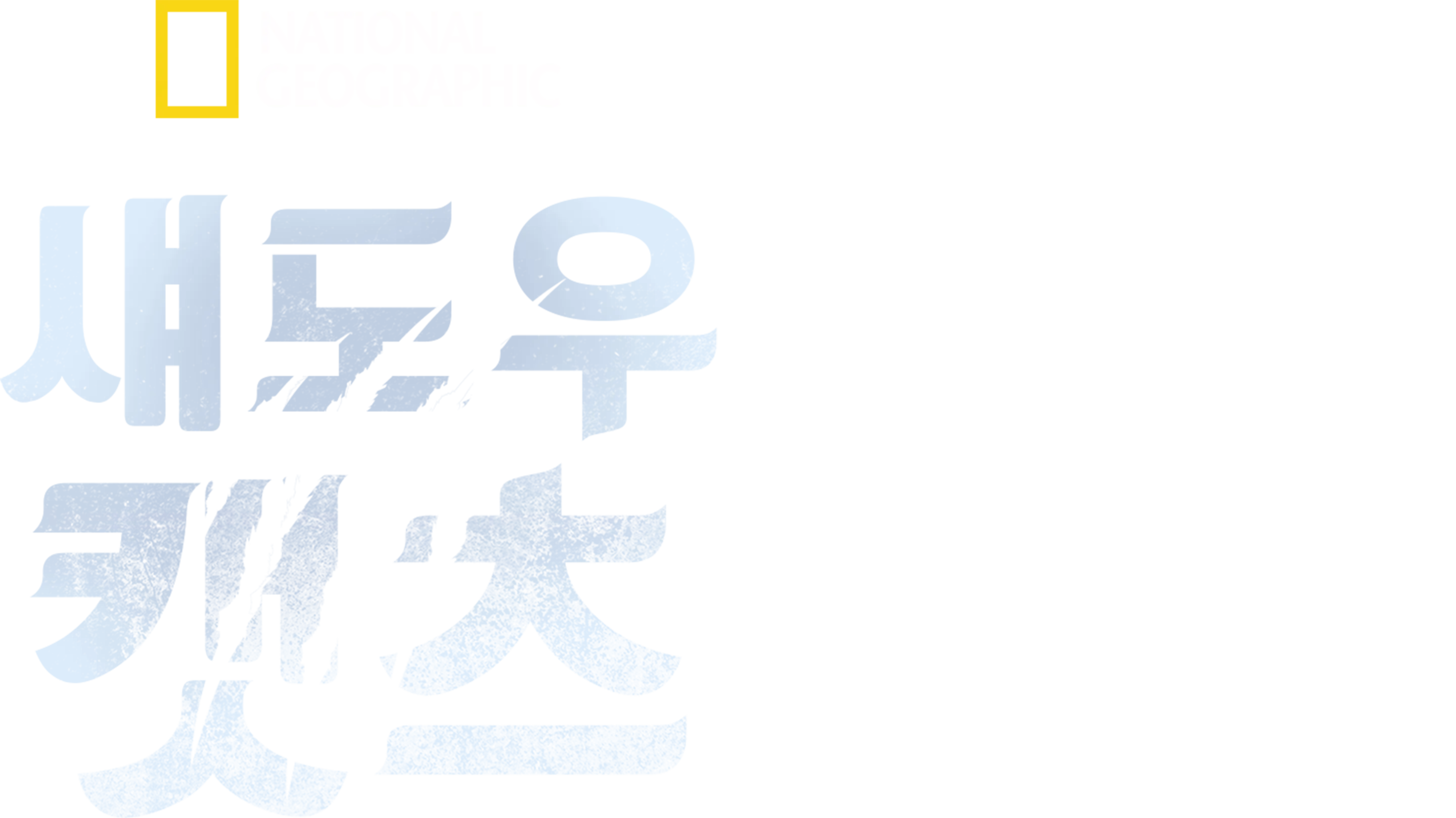 섀도우 캣츠