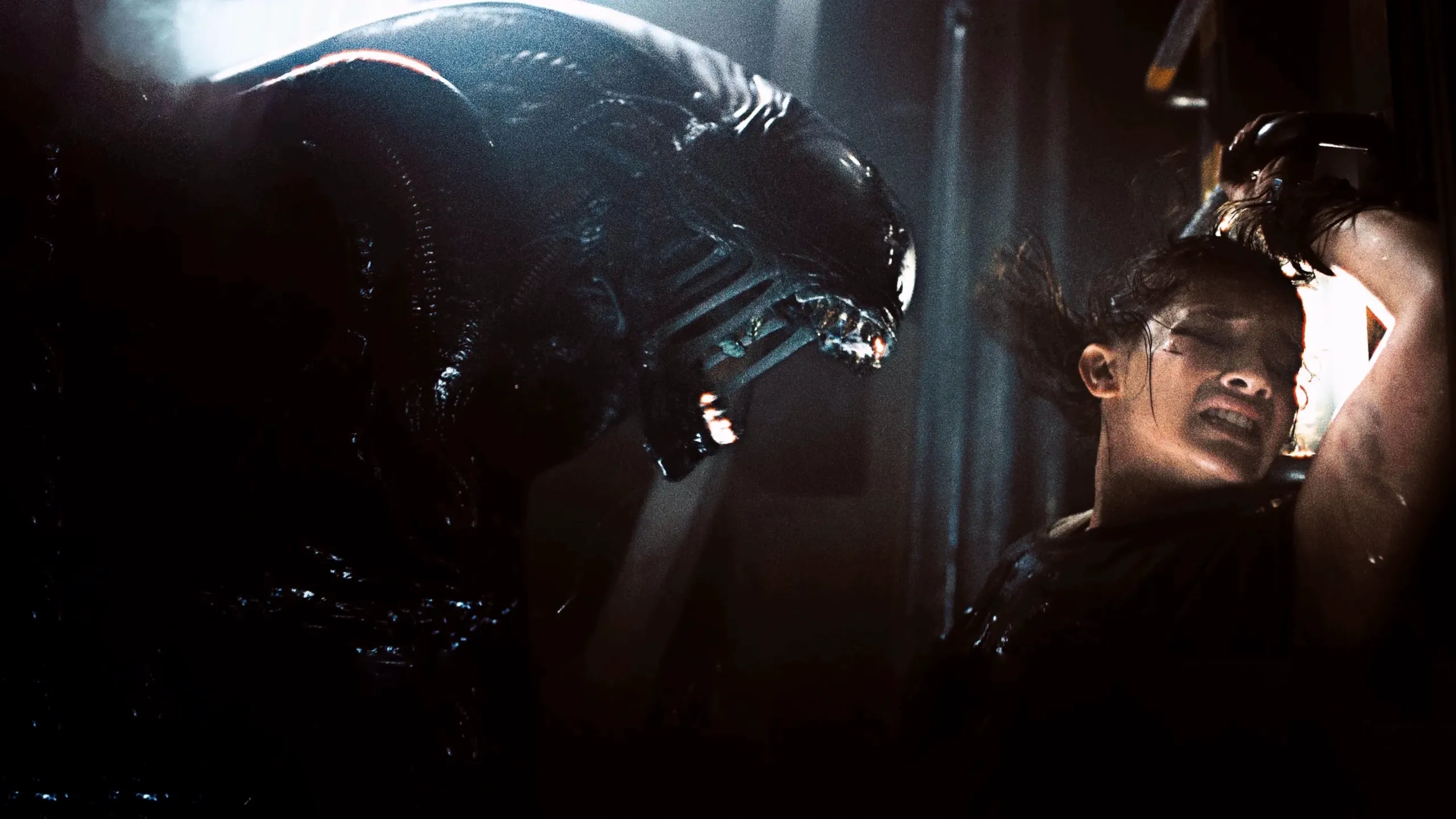 A xenomorph attacks Rain Carradine (Cailee Spaeny) in Alien: Romulus.