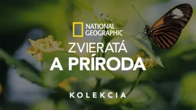 thumbnail - National Geographic – zvieratá a príroda