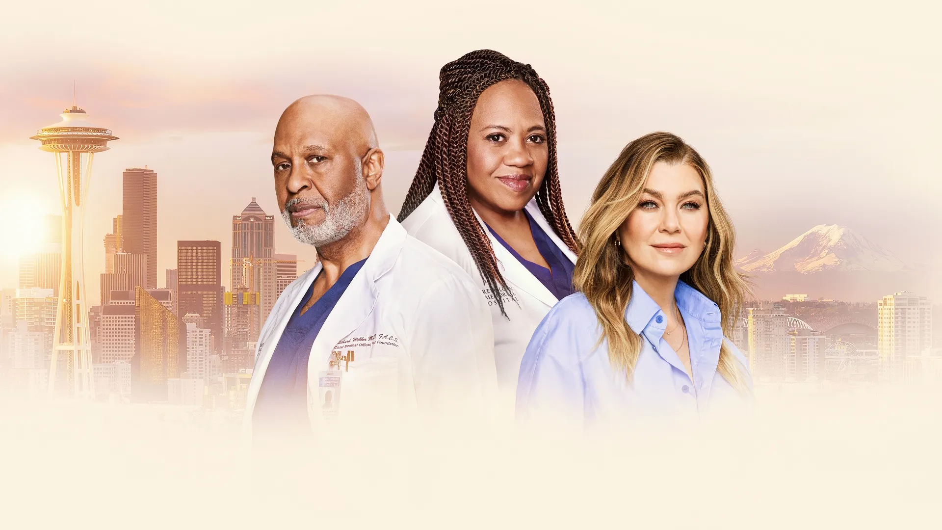 Official artwork for Grey’s Anatomy Season 22, Hulu