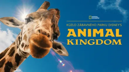 thumbnail - Kúzlo zábavného parku Disney's Animal Kingdom