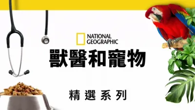 thumbnail - 獸醫和寵物