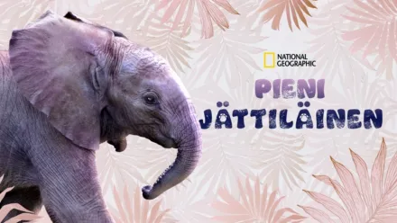 thumbnail - Pieni jättiläinen