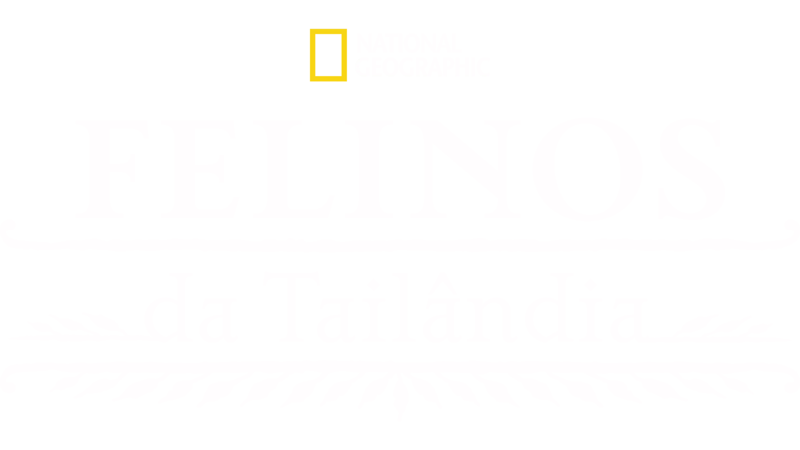 Felinos da Tailândia