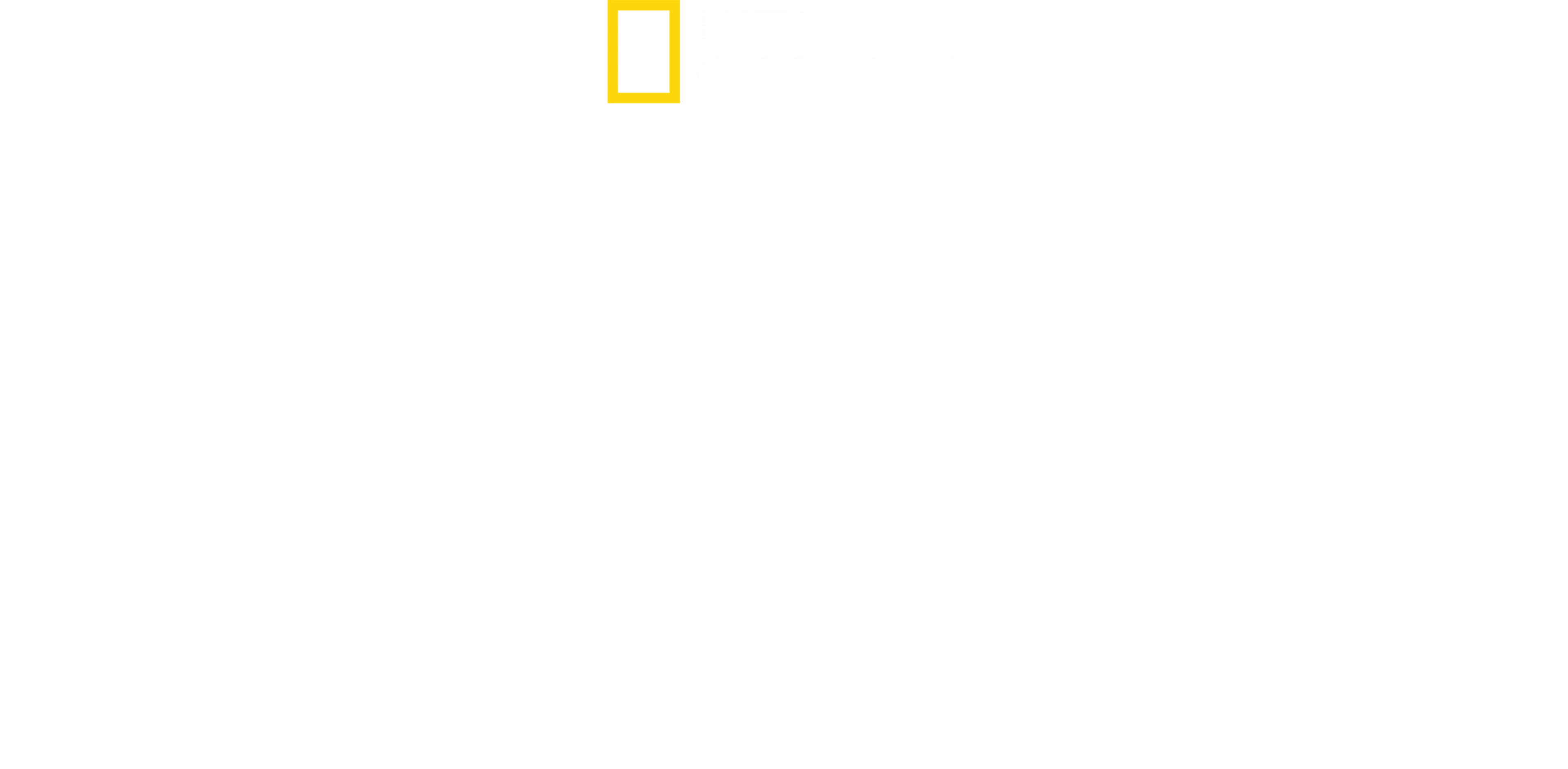 Felinos da Tailândia