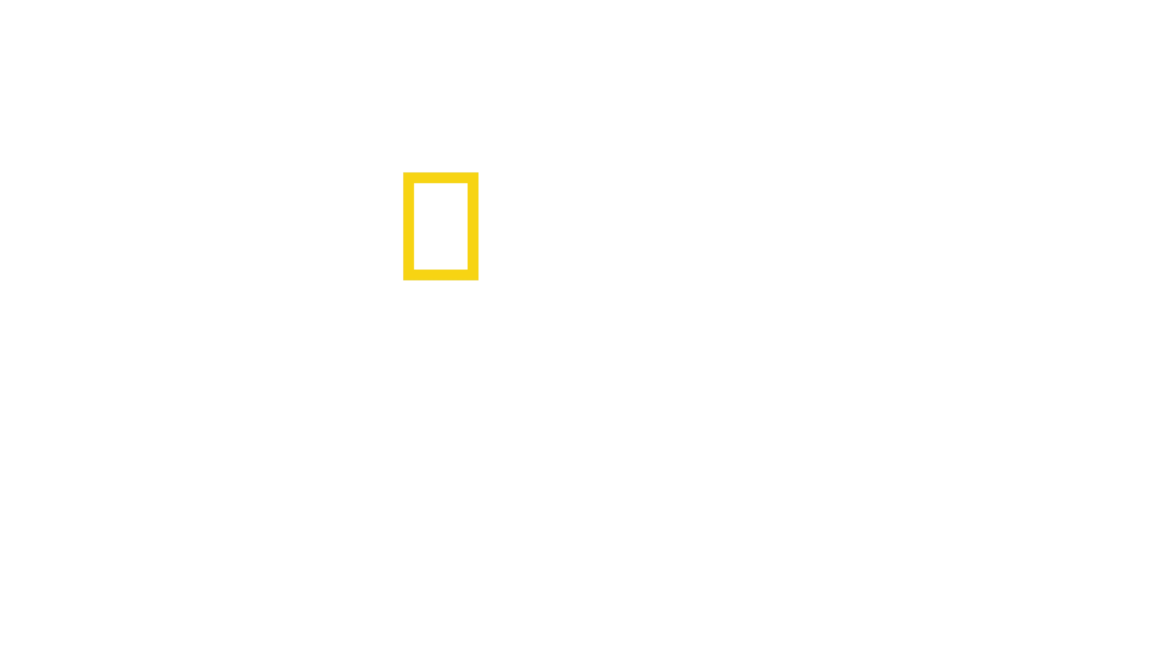 Photographer: Der Mensch hinter der Kamera