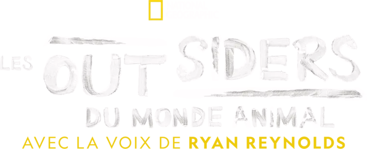 Les outsiders du monde animal