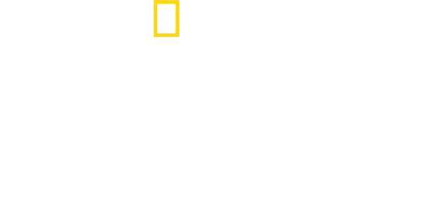 生きるレジェンド：偉大なる冒険の軌跡