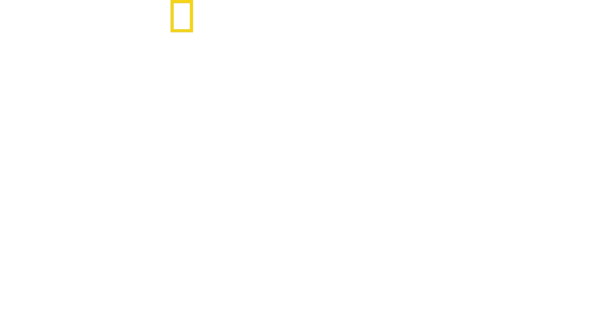 Hai vs. surffari