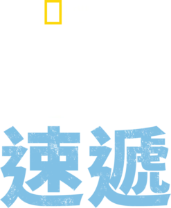 亡命速遞