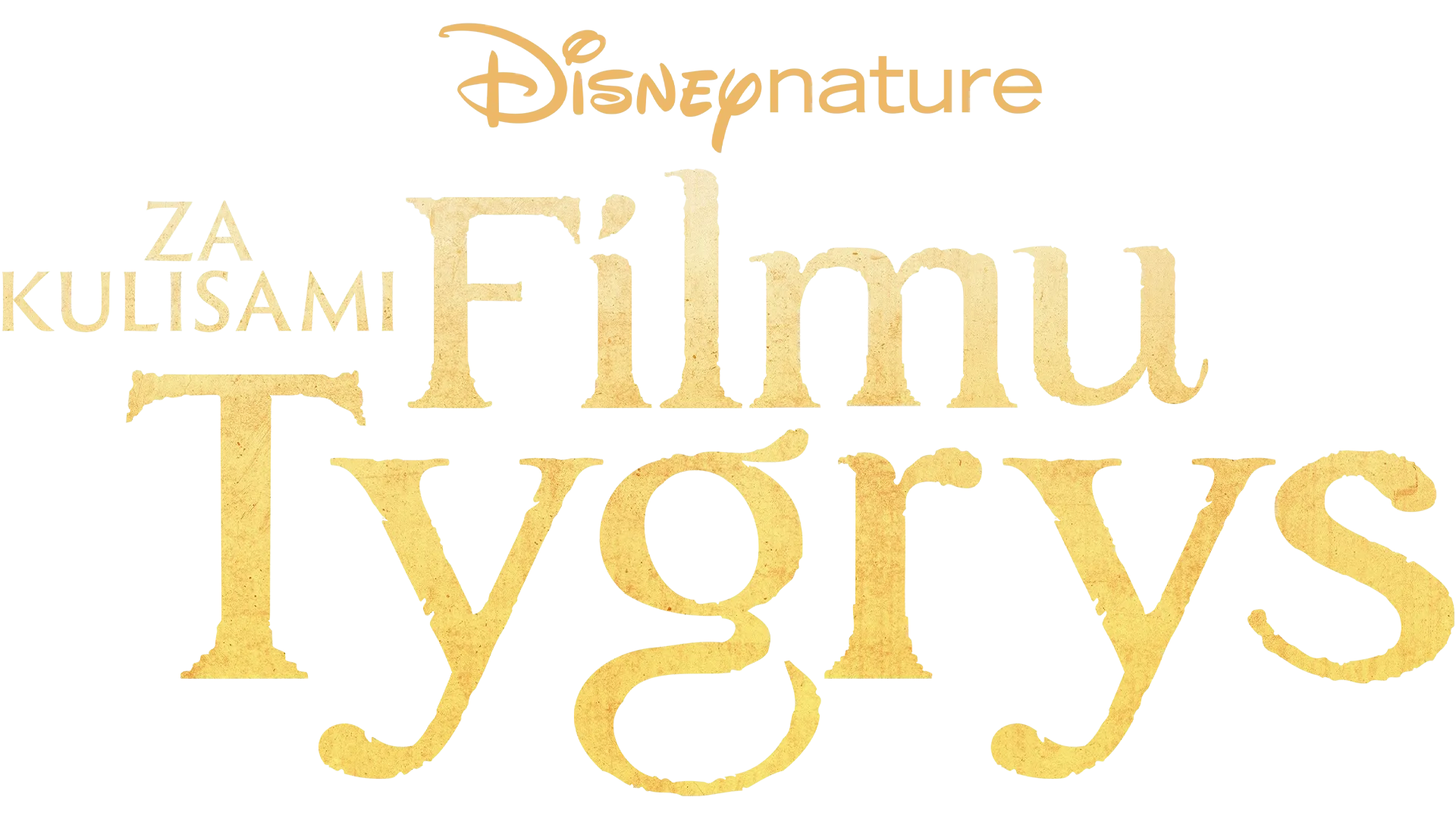 Za kulisami filmu "Tygrys"