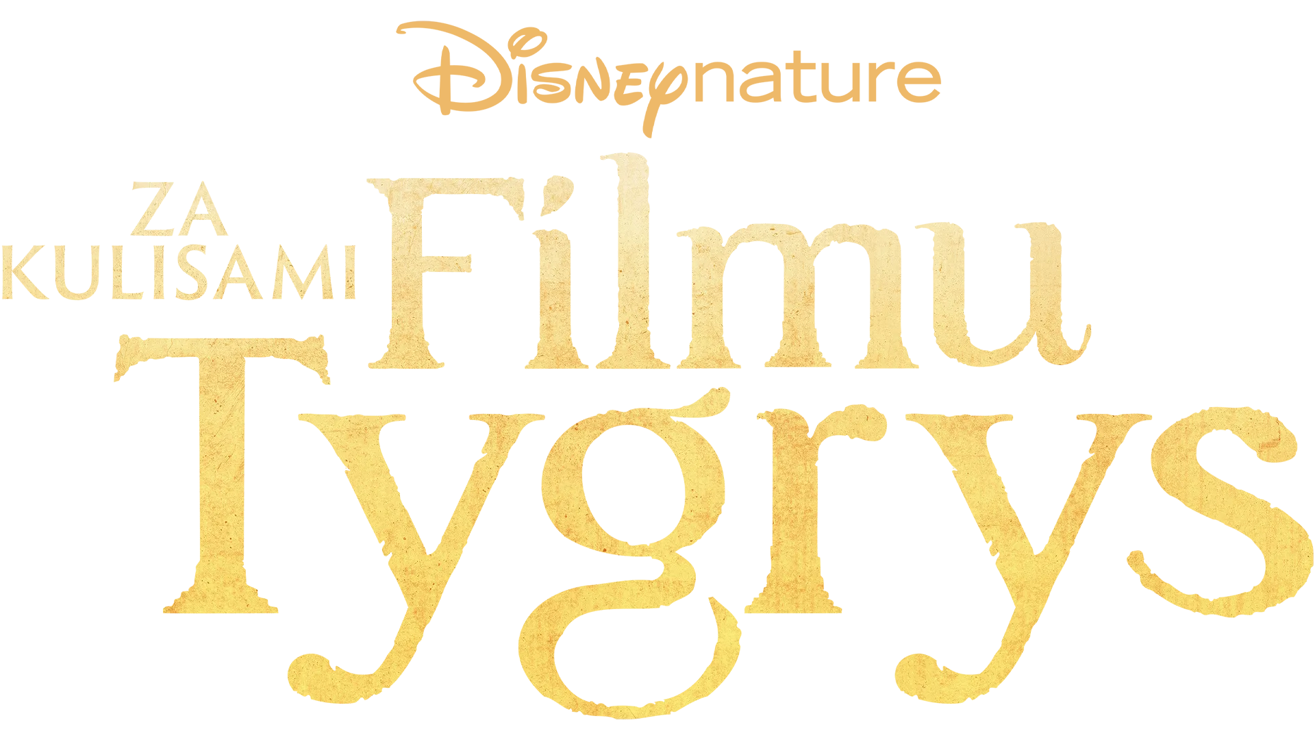 Za kulisami filmu "Tygrys"