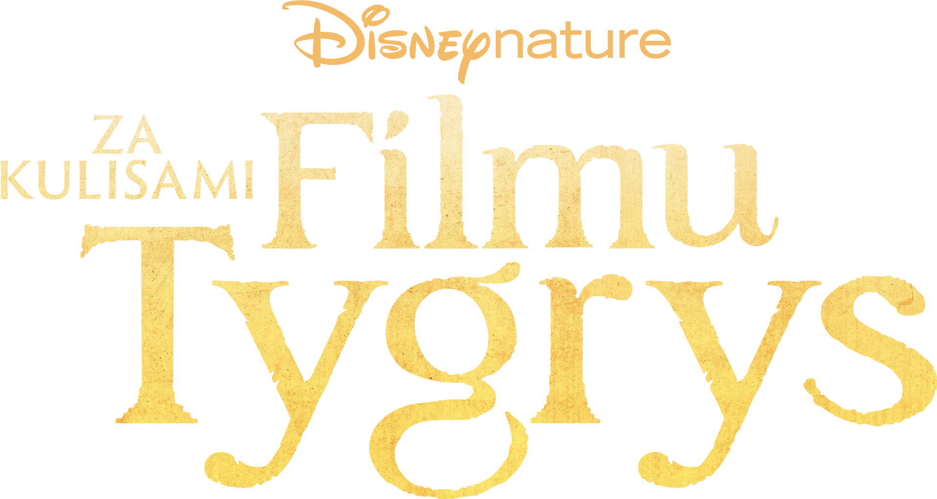 Za kulisami filmu "Tygrys"