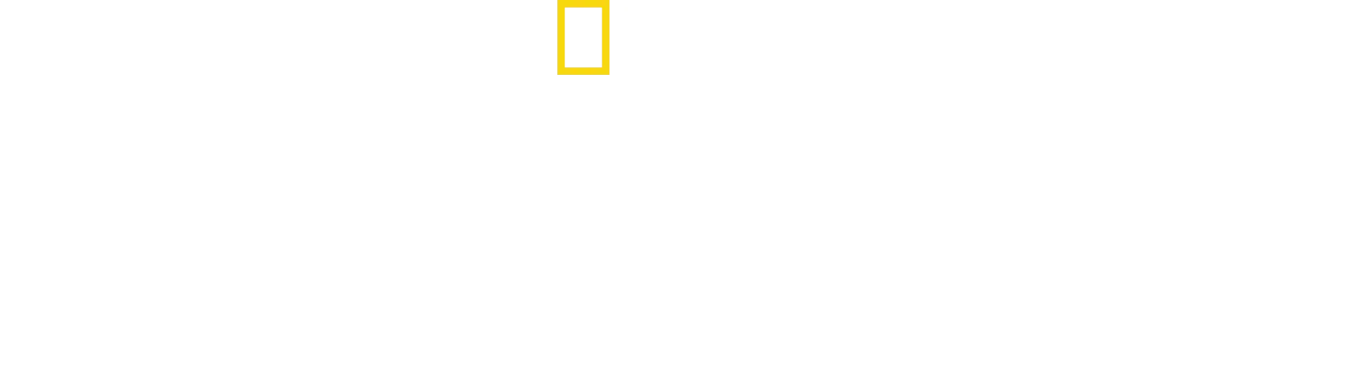 Dr. Ole: Tierarzt im Einsatz