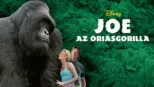 thumbnail - Joe, az óriásgorilla