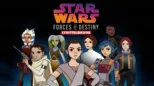 thumbnail - Star Wars Forces of Destiny (Lyhytelokuva)