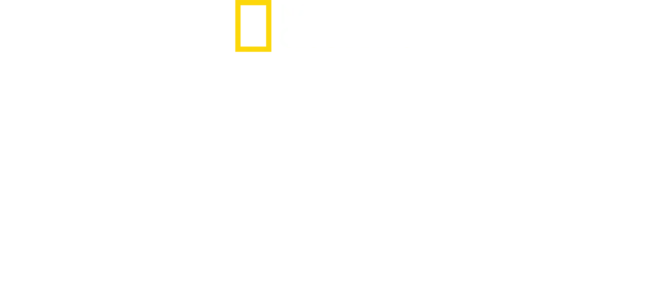알렉산더 대왕, 최후의 안식처