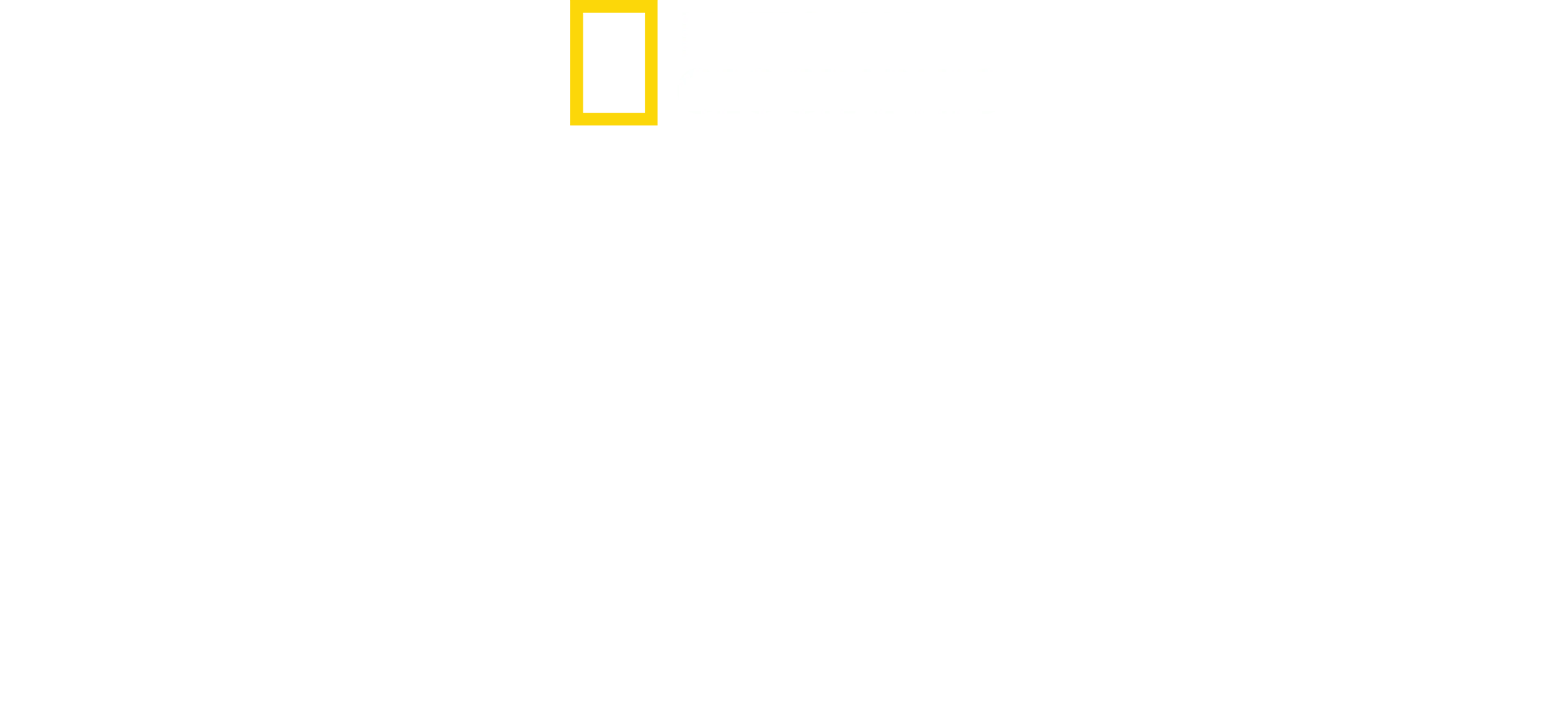 알렉산더 대왕, 최후의 안식처