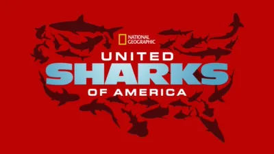 United Sharks of America