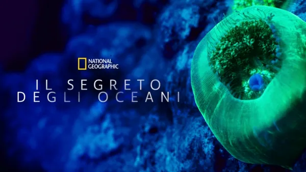 thumbnail - Il segreto degli oceani