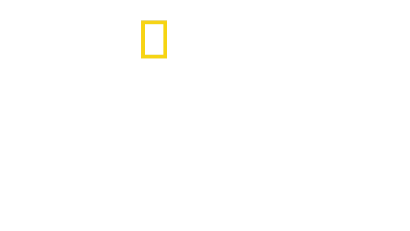 Mistérios da Antiguidade com Albert Lin