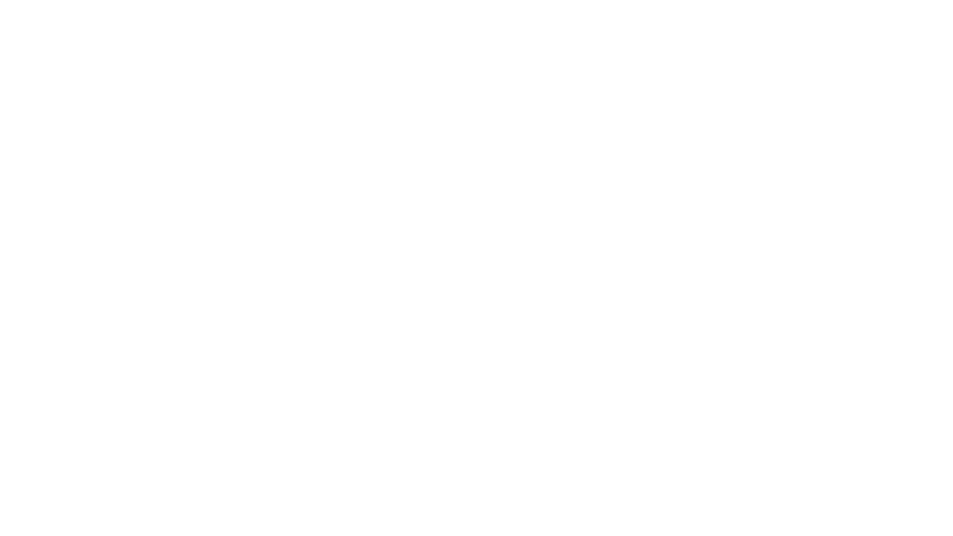 The Transporter