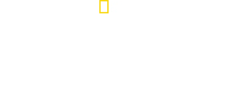 Drugs Inc: Drogen im Visier